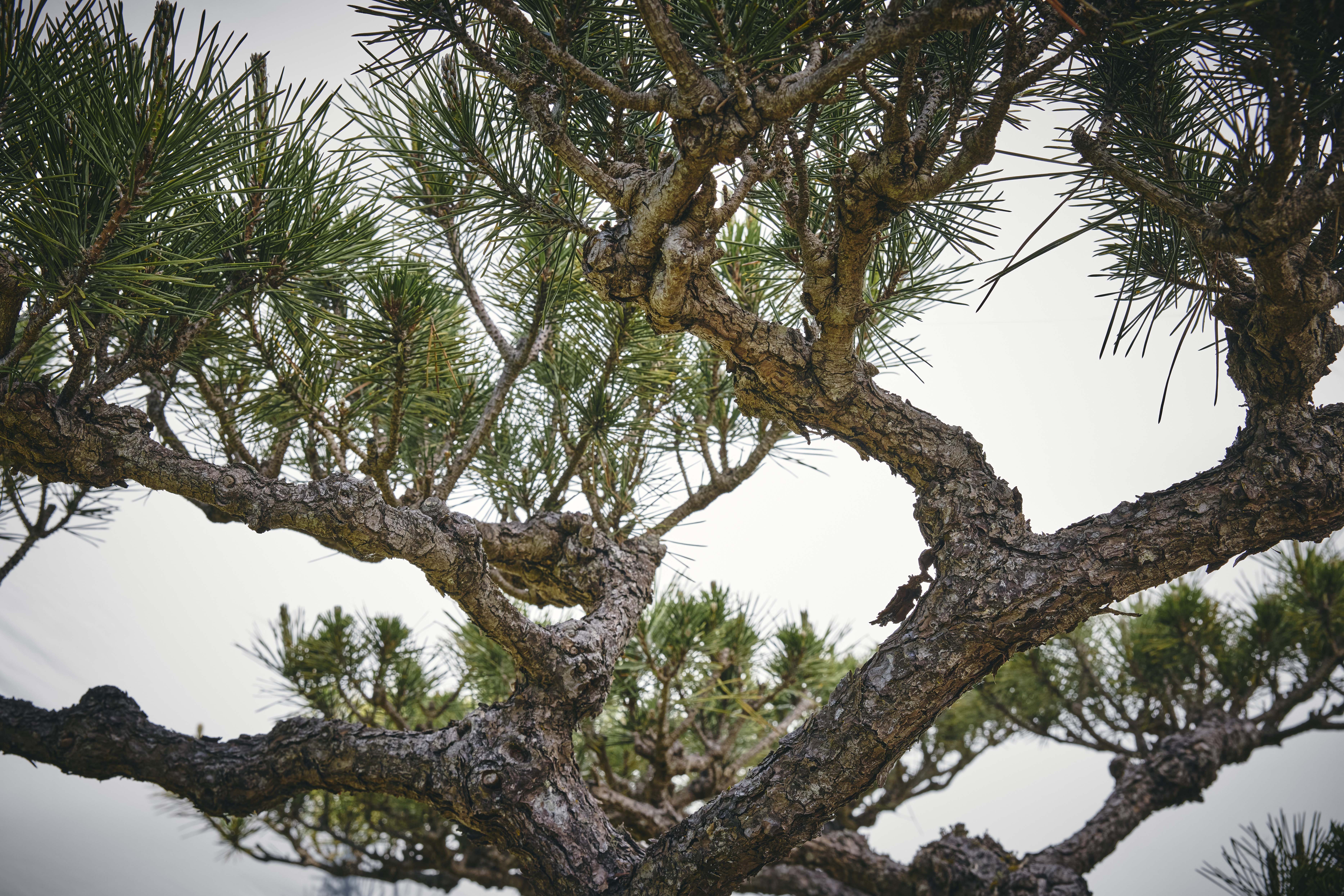 No. 10 — detail