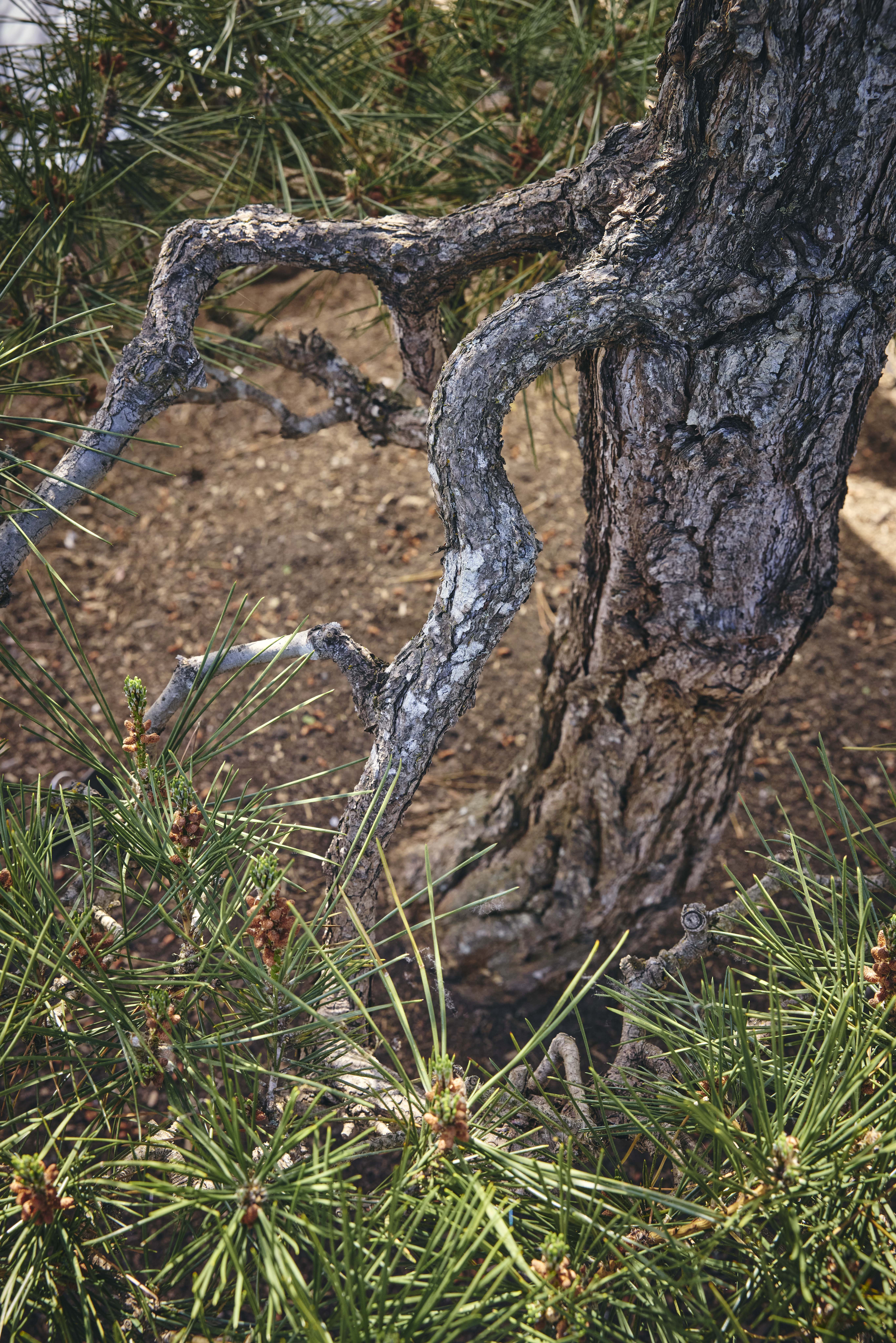 No. 18 — branch detail