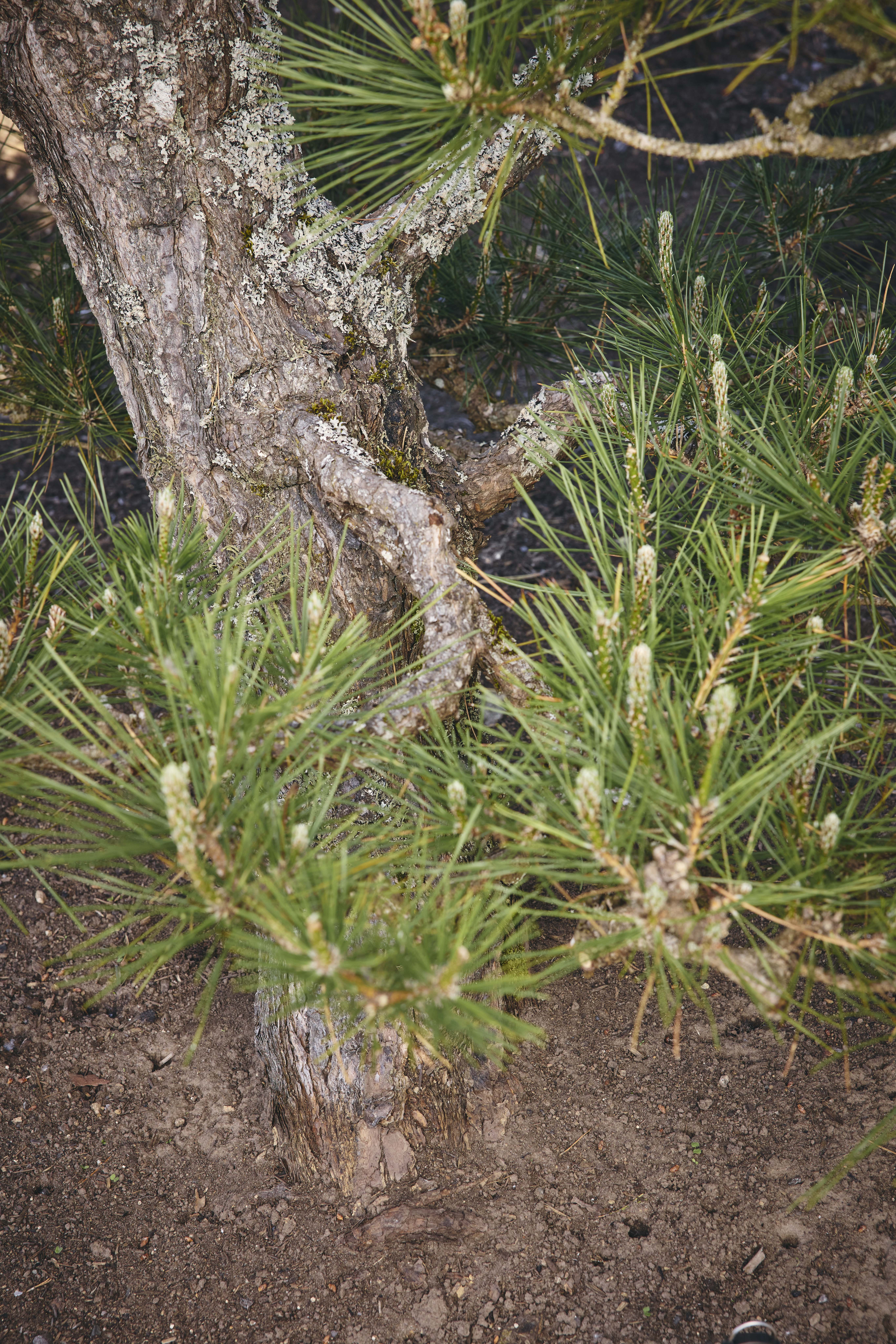 No. 02 — detail